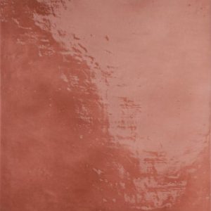 MARE NOSTRUM BARCELONA