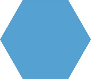BASIC HEX NIAGARA