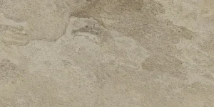 RAJASTHAN BONE