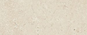 TIMELESS IVORY