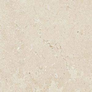 TIMELESS IVORY